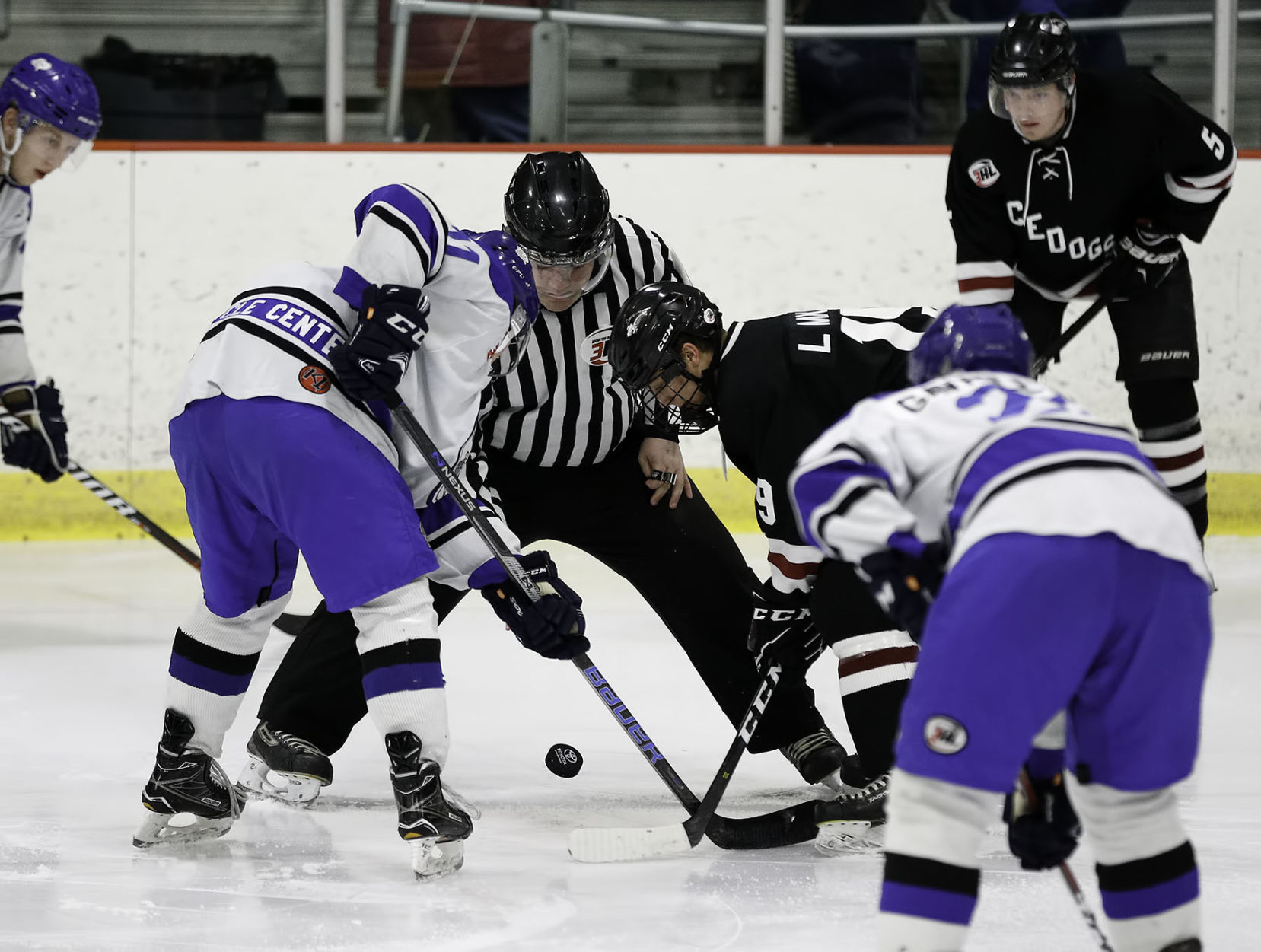Helena Bighorns